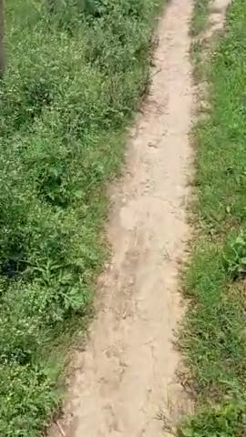 nachanaura Panchayat gram khokhali Post bhaisawar bad no 10 gali roka Gaya Ghar se bahar Ane Jane wali rasata me Katerak