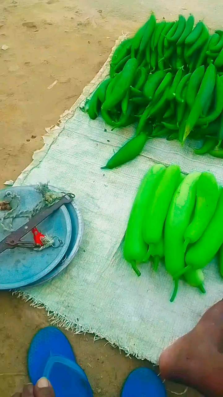 singramau #bajar#tre#reels@