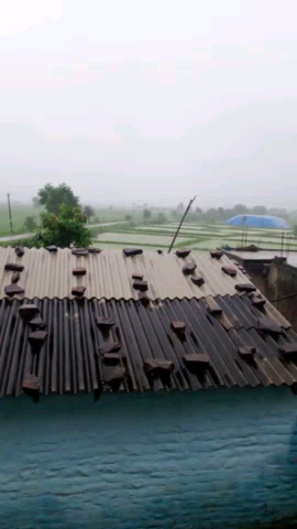 विदिशा जिल के ग्राम करारी मैं जोरदार बारिश