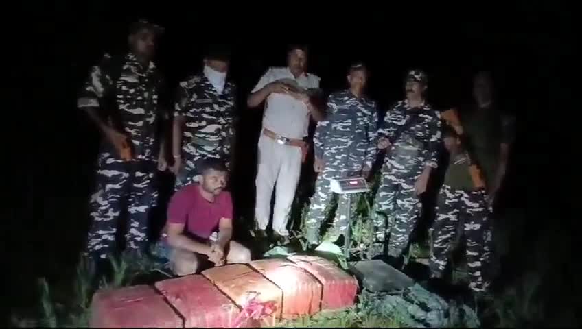 नरकटिया: छौडादानो महुअवा एस एस बी व पुलिस ने महुअवा बॉर्डर के समीप छापेमारी कर 77 किलो गांजा के साथ एक तस्कर को किया गिरफ्तार