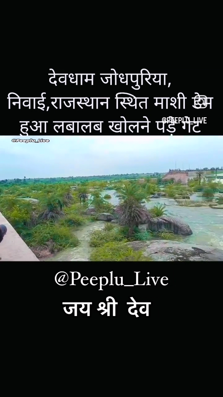 टोंक :  निवाई उपखंड के मासी डैम ओवरफ्लो होने पर पांचों गेट खोलकर पानी की निकासी की जा रही है 
#टोंक #निवाई #पीपलू #मासी