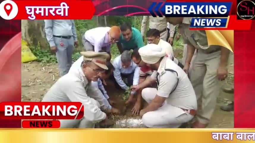 बिलासपुर जनपद में रोपित किए जाएंगे 1 लाख 80 हजार पौधे, मंत्री राजेश धर्मानी