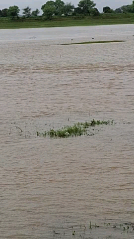 khari नदी  me तेज bhav maleda ke pass