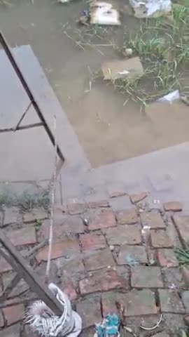 karanpur gram Panchayat ka yah hal hai Pradhan Ji mitti bhi karva pa rahe hain