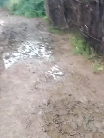 ग्राम पंचायत बालरिया का यह रास्ता में रास्ता यार माध्यमिक परेशान हो रही है पूरा कीचड़ कीचड़ हो रहा है यहां मरकडा