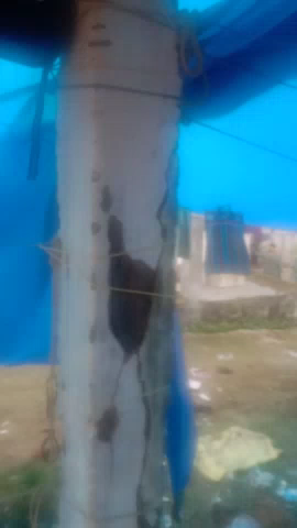 प्रेमनगर विकाश खंड अंर्तगत ग्राम पंचायत नावापारा कला के स्प्ताहिक बाजार मे बने छोटे वेसायियो की लिए दुकान चबूतरा जर्जरहै