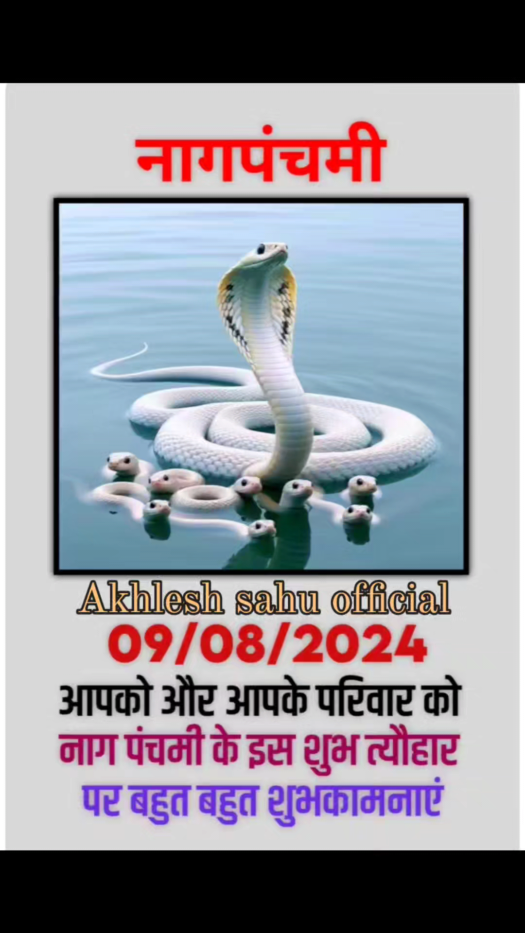 nagpanchami special silwani