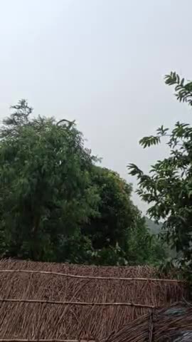 दरभंगा जिला के बिरौल परखंड के भीखनौली gaw मे बारिश होने से खेत sab hua हरियाली किसान sab मे खुशी का माहोल बना हैं #@