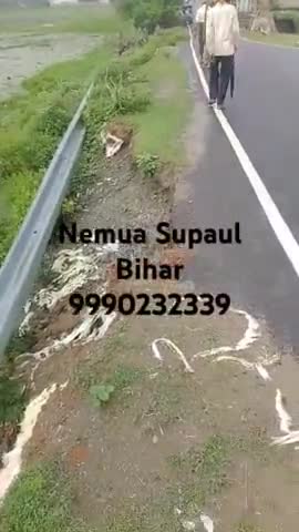 Supaul Bihar India Memua ramdut Patti ward 03
bus bitti road 
road mein kam ki avashyakta hai per koi road per Dhyan na