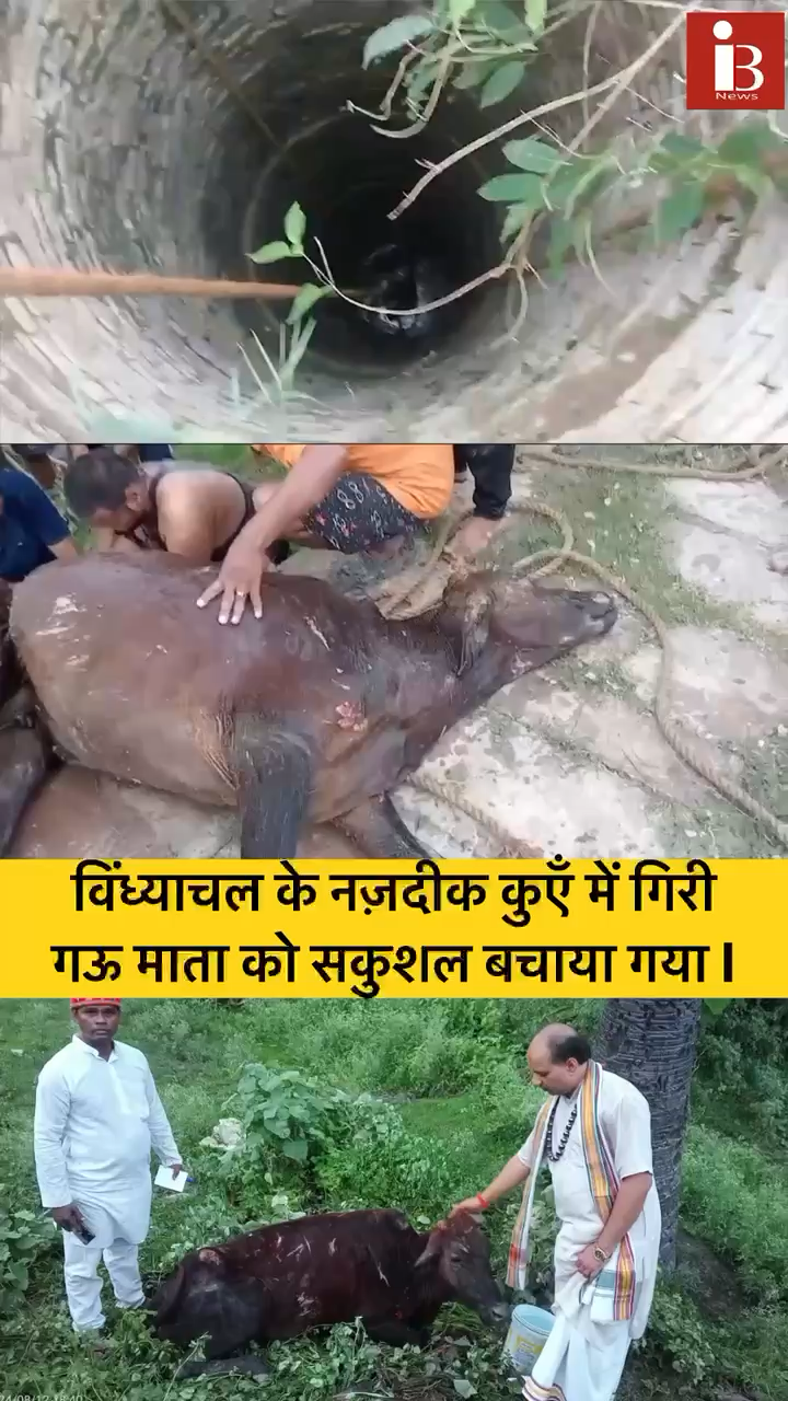 विंध्याचल के नज़दीक कूएँ में गिरी गौ माता को सकुशल बचाया गया l 
 #mirzapur #animal #cow #save #savelife #today #news