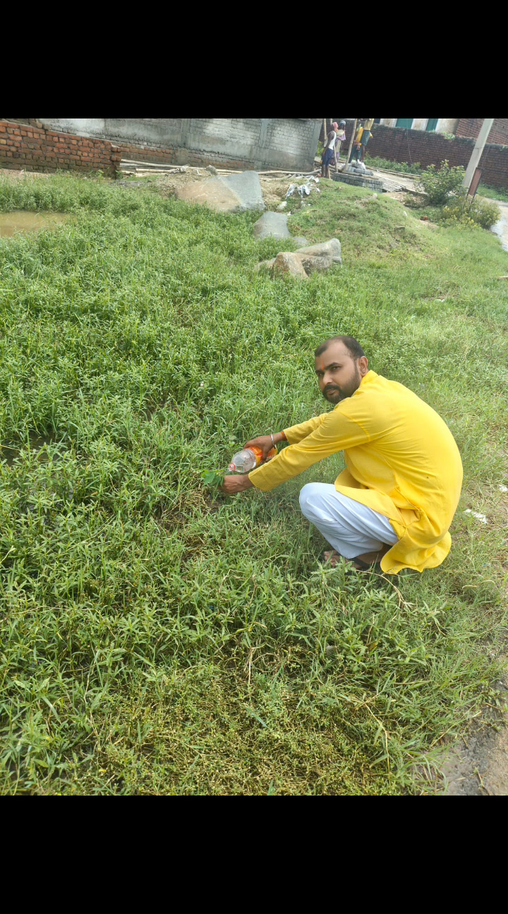 महर्षि विश्वामित्र फाउंडेशन के सम्मानित सदस्य नागेंद्र सिंह जी द्वारा सावन मास की चौथी सोमवारी को धार्मिक महत्व के पौधे लगाए गए #reels #StarsEverywhere #बक्सर राज कुमार चौबे बक्सर बक्सर, मिनी काशी Nitish Kumar Narendra Modi