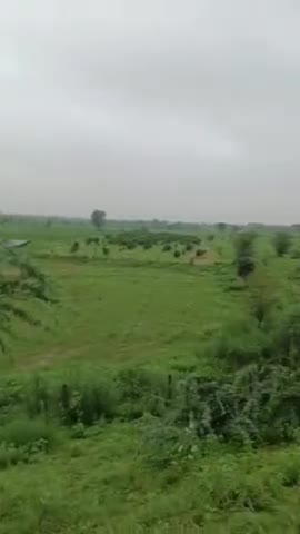 खेजड़ी बुजुर्ग बांध में पल भर गया अभी टूटने की आशंका