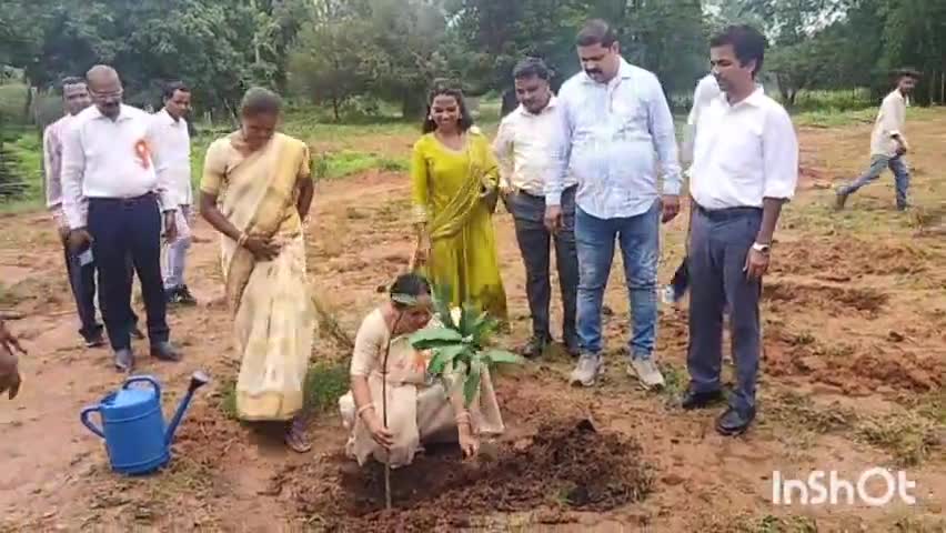 आनंदपुर: बरंगा पंचायत के द्रीपशीला गांव में स्वतंत्रता दिवस के मौके पर आम बागवानी योजना का हुआ शुभारंभ