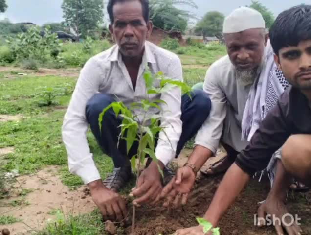 सबलगढ़: सबलगढ़ नगर के कब्रिस्तान में स्वतंत्रता दिवस के मौके पर ईदगाह कमेटी के अध्यक्ष एवं सदस्यों द्वारा किया गया पौधारोपण