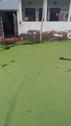 Bharatpur raghunath Puri colony #viral#midia#goverment#trainding
