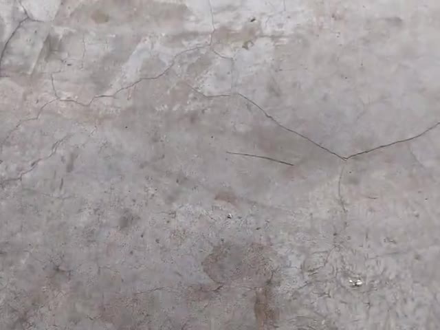 kcznxn gfnxdhs gcfj udhdjebbd beurr duyrhjeif f dbchb