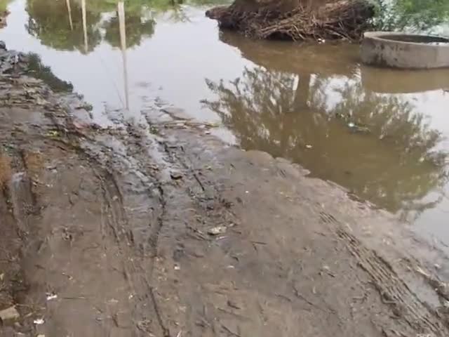 ग्राम पंचायत ढकलपुर का फिरनी का हाल है लोगोंको निकलने मे बहुत परेशानी सामना करना पड़ा है कृप्या करके इसका पानी निकला जाय