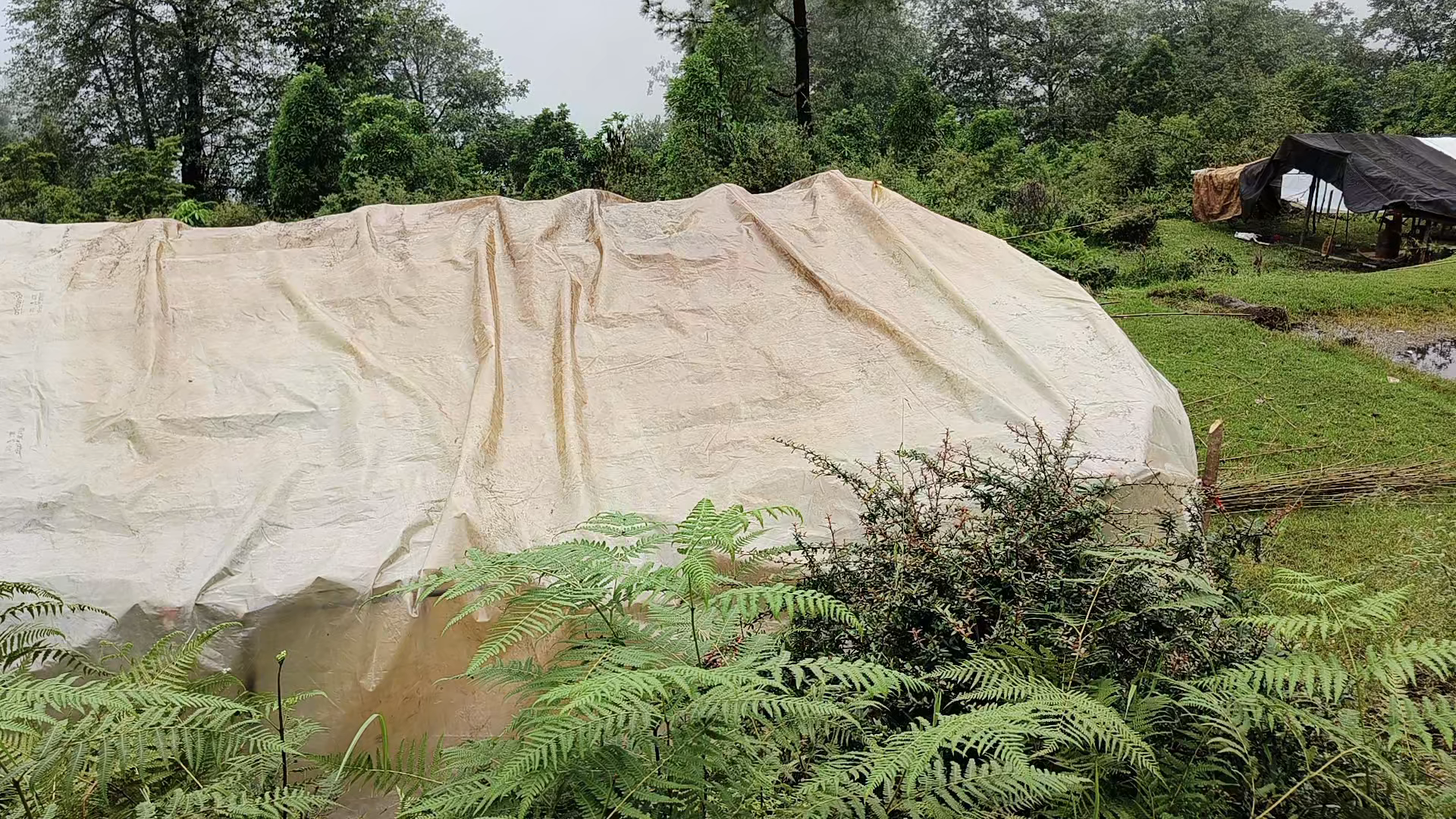 बागेश्वर जिले के कपकोट वि०खण्ड ग्राम पंचायत नौकोड़ी के चथुचकिया तोक में जमीन घसने से आवाशीय मकानों का भविष्य खतरे में है