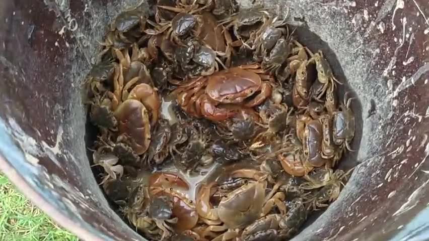 सूरजपुर: विडियो को पूरा देखें और बताएं की इस विडियो से आपकों क्या सीख मिला । #समाज