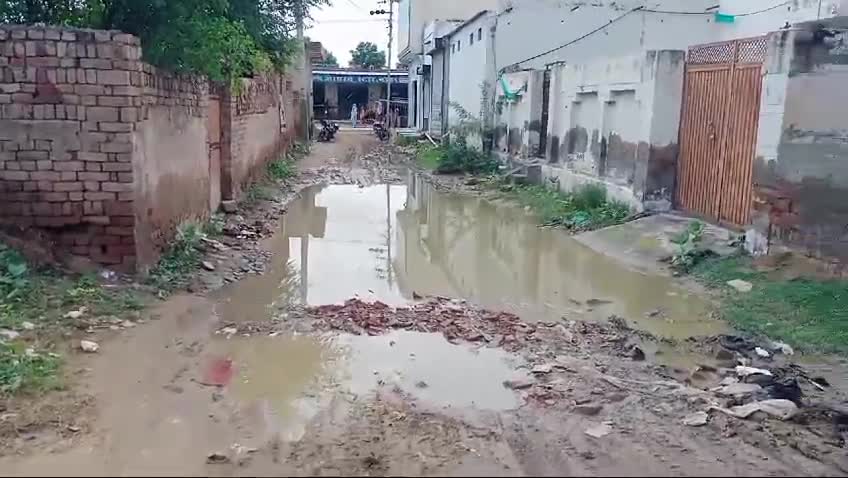 नोहर का 10 नंबर वार्ड , अरड़की बस स्टैंड से विवेकानंद स्कूल और बाल विकास स्कूल का आम रास्ता , ग्रामोत्थान हॉस्टल के पास