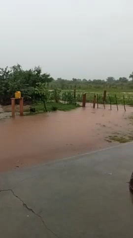कड़वासरा कृषि फार्म तिवारी में आज की बारिश