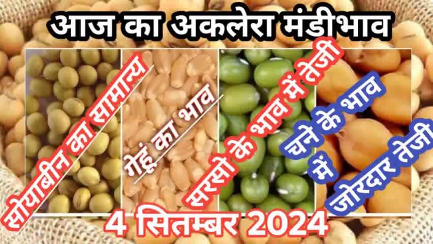 AAJ KA AKLERA MANDI BHAV । 4 SEPTEMBER 2024।