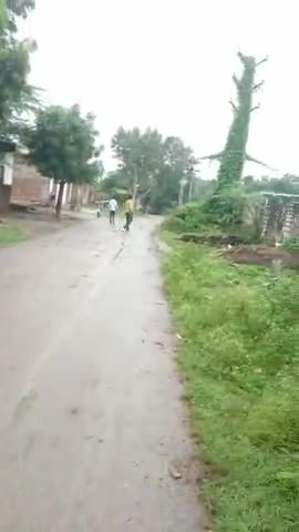 kapasan krishi upaj Mandi m khada y rawan