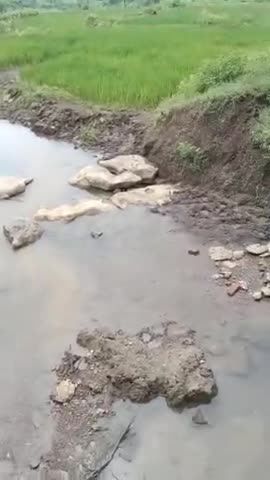 सुहेला सतनामी मुक्ता धाम जाने के लिए रास्ता नहीं है नाला पार करके ले जा रहा हैं