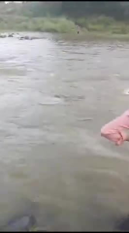 जावरा: जावरा क्षेत्र के ग्राम रफूखेडी में लोग जान से खेल कर  नदी पर करते है पर कोय सुनता नही है