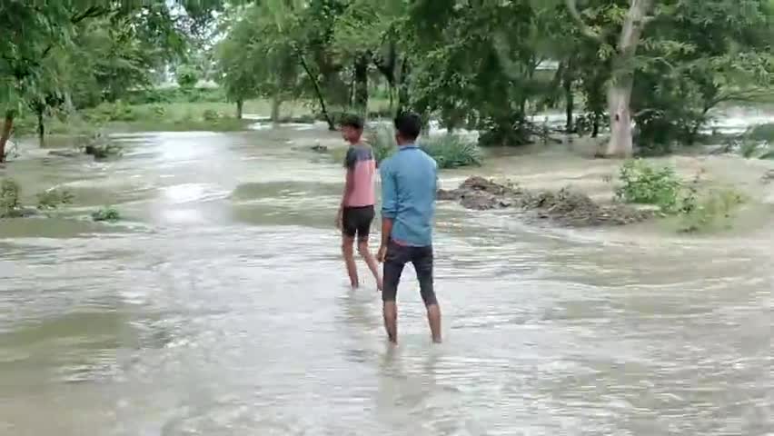 पढ़ रही उदयभान पटवारी
#vinod
