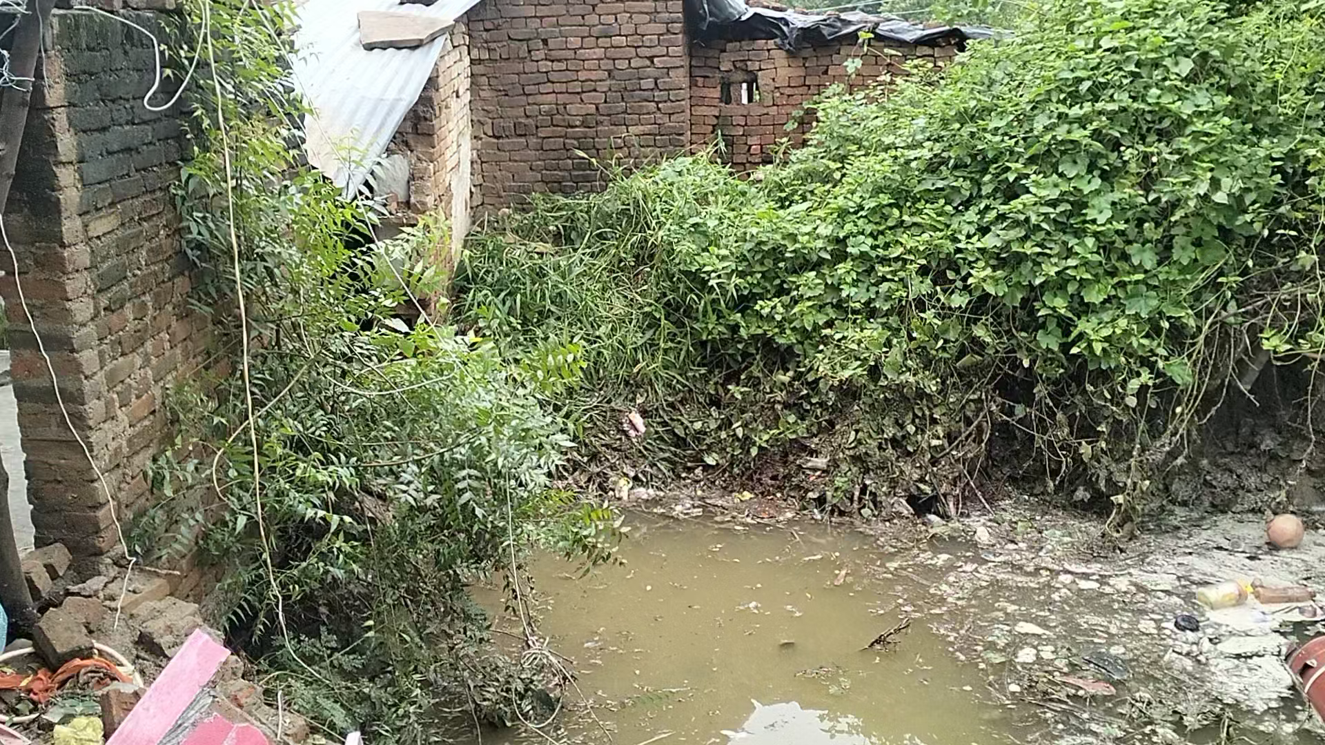 bhander sikandarpur pul ke pas