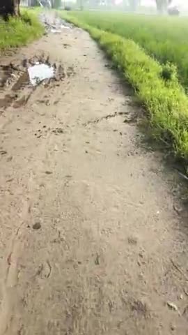 ये गाँव भदियार ( ब्लॉक तप्पल) का मुख्य रास्ता है जो कि काफी दिनों से खराब है अतः प्रशासन जल्दी ही कुछ कार्यवाही करे।