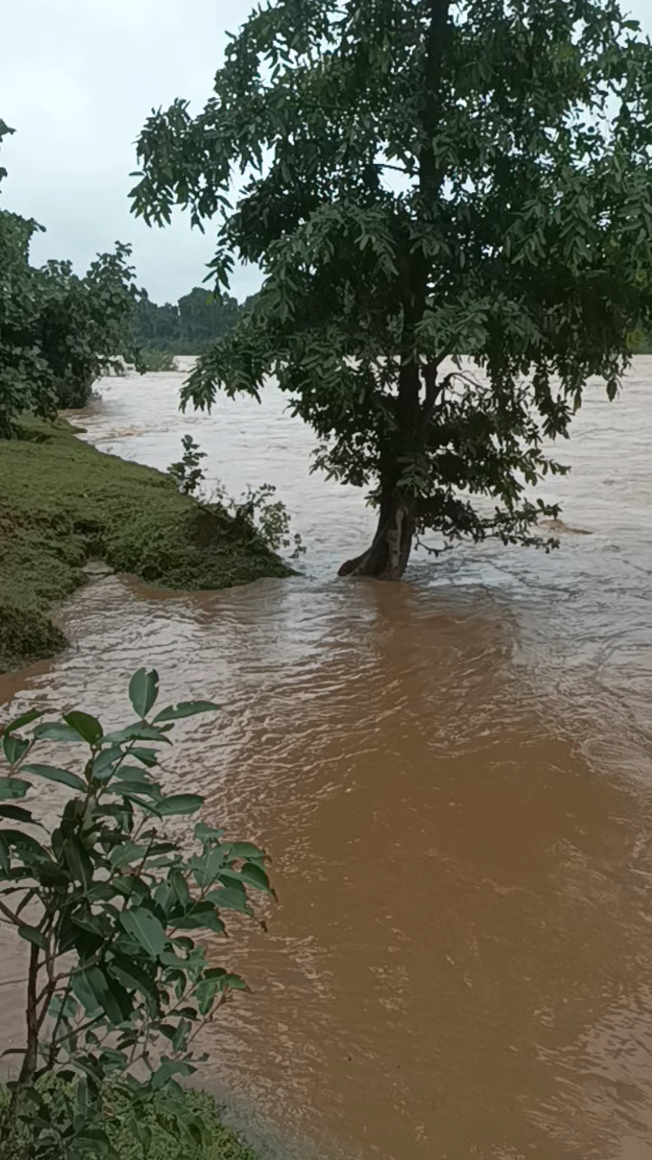 ukrimandi ,,,,,, karo na de Mein Pani bharane Ke Karan idhar se Udhar donon Taraf pura Phool Bhara