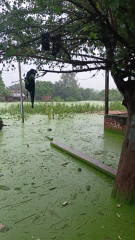 bankati bujurg.. bhari baarish ⛈️⛈️⛈️⛈️⛅🌩⛅⛅⛅🌩🌩