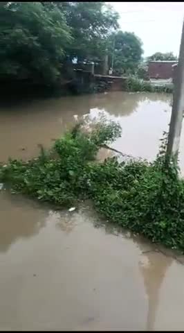 gram kattra ka huaa bura haal koi saaf safai nahi log ho rahe h pareshan @
