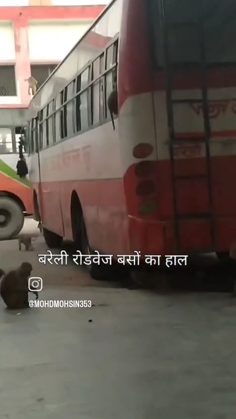 बरेली रोडवेज बसों हाल #बरेली