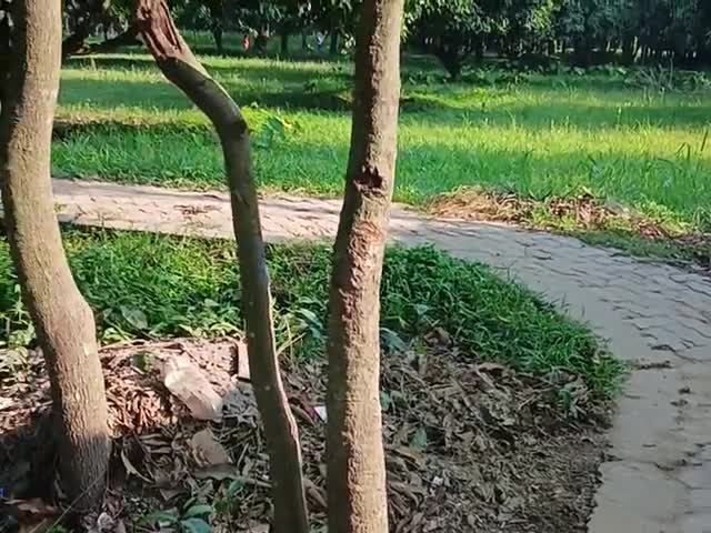 Rohit sharma nainpur batonic pansit
Bhatoni pancha public app