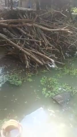 बड़ाहरा प्रखंड:- बखोरापुर पंचायत के हाजीपुर गांव में कई घरों में पानी घुसने से लोग परेशान