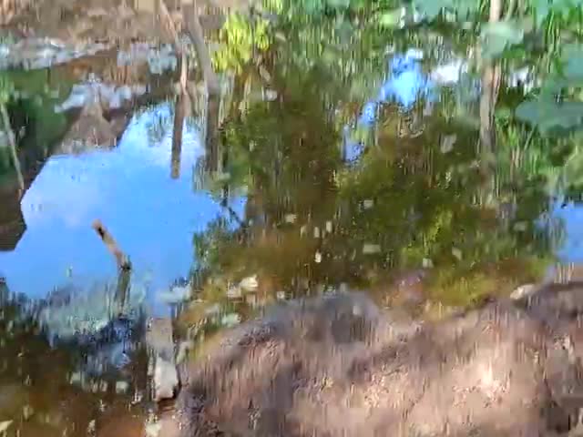 gaam lohagarh me AA gyi bhot jyada bhaad ab kya karna hoga bhaiyo