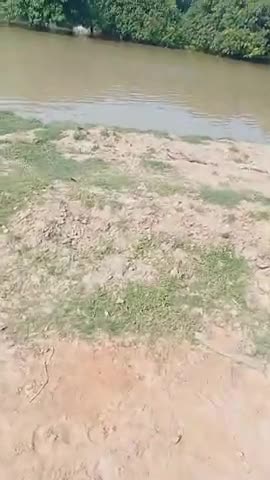 कोलगामा गाओ मी पानी गुस्सा