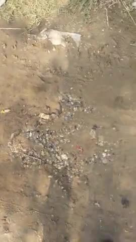 वार्ड नं 3 बनेठा में जल विभाग की लापरवाई सूचना दे ने पर भी कोई कारवाई नही की गई