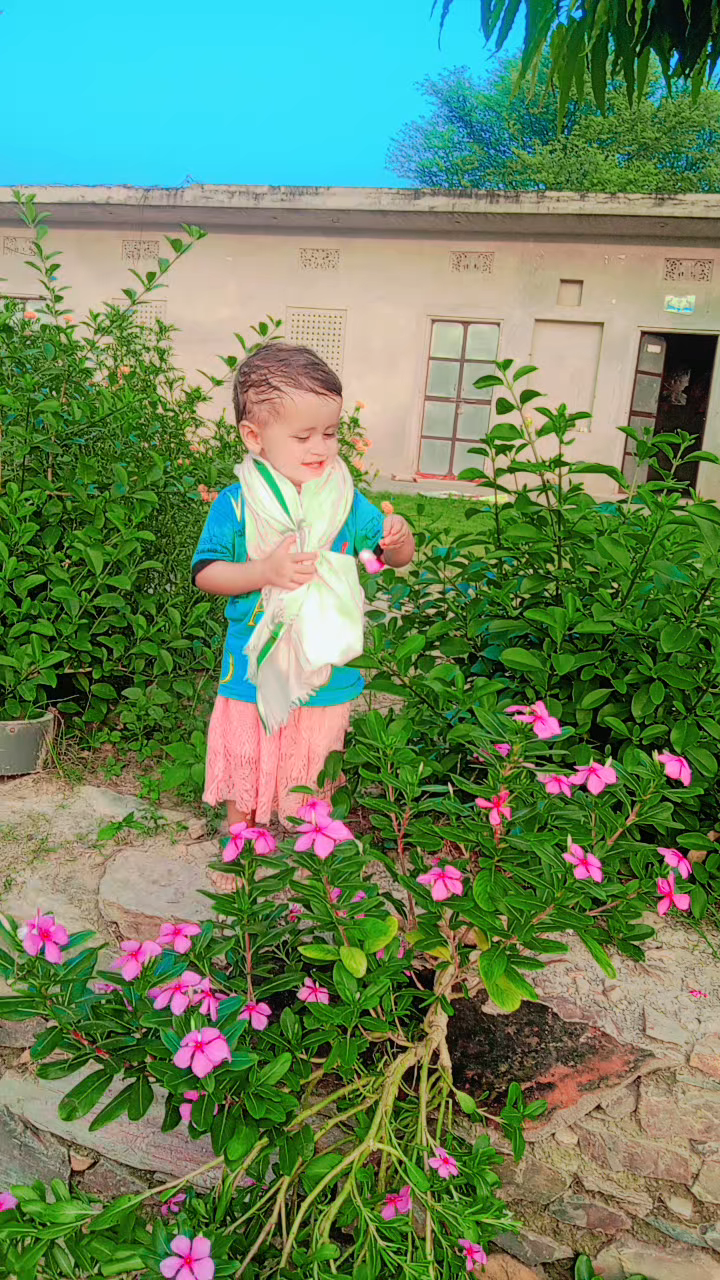 Ishika Meena gram paalri