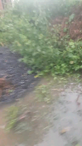 jila Chhatarpur Gram Panchayat halvnee Halavnee