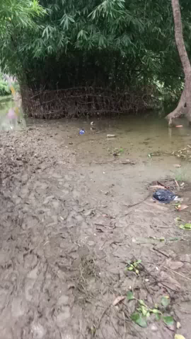 pildauri me vort mangne  na hi aaye to acha hai