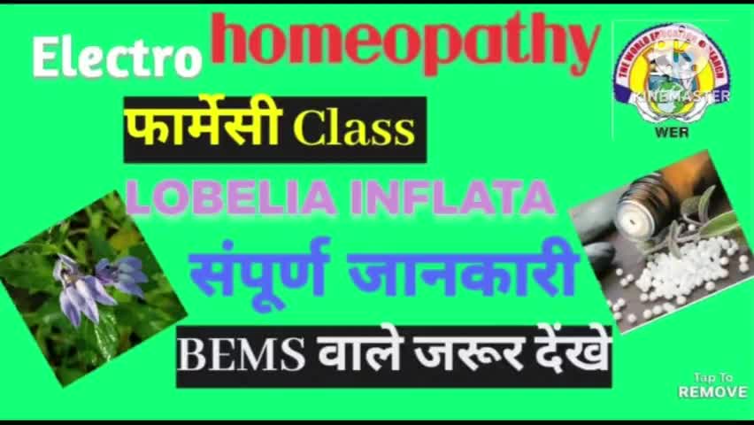 #Lobelia inflata इलेक्ट्रो होम्योपैथी की औषधि
#DEHM,BEMS,MD(EH),PHD
#THE WORLD EDUCATION RESEARCH 
CONTACT 94720 58415