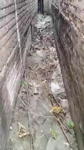 marpit kar ghar ko torfor