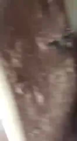 पूरे शरीर में गांठे होने पर i pulse जूस पीने पर बहुत अच्छा रिजल्ट 9590069007