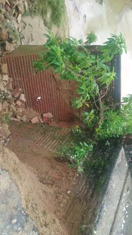 पचपेड़वा ब्लाक के जीतपुर और बिसुनपुर कोडर के बीच में नदी पर बना हुआ पुल है जो अभी केवल 12 बर्ष पुराना है ।
