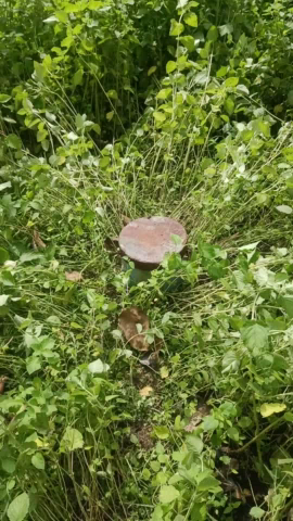 ग्राम पंचायत देवरी के धमकी टोलामें नल जल योजना 2 वर्ष होने के बावजूद भ्रष्टाचार की भेंट चढ़ी