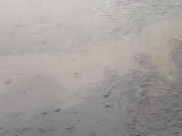 मुस्तफापुर बारिश रोगप्रतिकारक